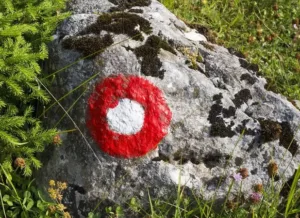 Planinsko društvo Horjul v juniju pripravlja tri dogodke