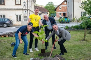 Lipa v zahvalo za podporo lokalnemu čebelarstvu
