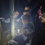 Nočna pustolovščina v vrtcu: kresničke, gozdni škratki in pogumni mali raziskovalci