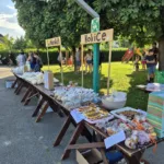 Vrtčevsko leto smo         zaključili z Dobrofestom