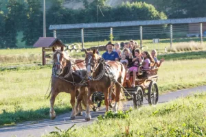 Konjeniška veselica Pr’ Bitenc
