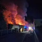 Zagorelo v lesnopredelovalnem obratu v industrijski coni v Verdu
