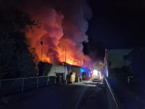 Zagorelo v lesnopredelovalnem obratu v industrijski coni v Verdu
