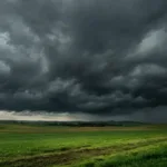 Dejavnosti Študijskega krožka Mi in podnebne spremembe