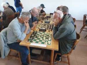 Šahovska sekcija Društva upokojencev Vrhnika