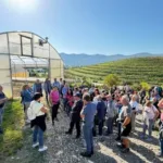 75 kmetov na strokovni ekskurziji v Vipavski dolini in Goriških brdih